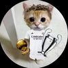 madrista.ftb