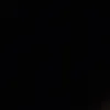 04072011vlam