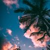 maira_1132