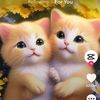 justfriends29580