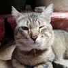 snowbellsnowbell1
