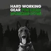Always Prepared