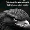 b1r_celabadli.balasi.15