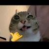 whuup6