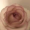 vhdhdhdhdbe