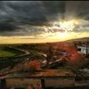 diyar_aydin4747