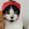 mycatspinktoebeanz