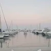 tuliip21