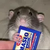 maslova_rat