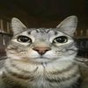 mrdoanime