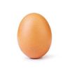 eggsmellysmegma44