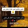 jibranansari43