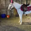 staceymaymarriott247