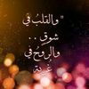 abo12adnan