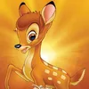 bambi.bamboleo