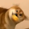 iambento0