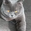 petrsofie0