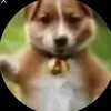 ratinho.acucar