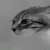 tuki_zloth