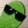 abner_y