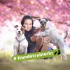 alle_meine_hunde.de