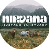 Nirvana Mustang Sanctuary