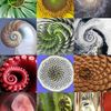 goldenratio36912