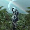 420_steadymobbin