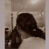 criss_mz13