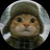 damp.cat42
