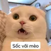 tuvuhoang0