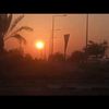 aishacudoon26