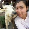 nong15077