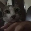 xhinlee1