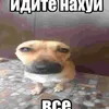 тучка356