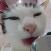j0enst0wn