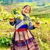 Sùng Thị Dín