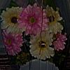 jory3016