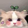 tintinnyo46