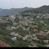 waelalawdi1