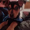 santino1019_