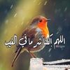 ahmadsayed090