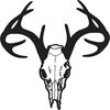 billbuckner5