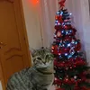 yuriylli