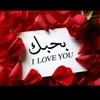 salyghazal