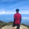 nugroho.why_