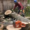 arborist_drogobych