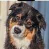 zoemarietheaussie