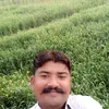 nasirdenter12