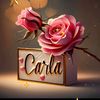 carla.ross4